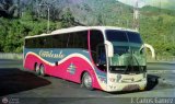 Expresos Occidente 160