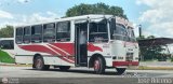 A.C. de Transporte Larense