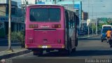 A.C. Transporte Campesino 40, por Pablo Acevedo