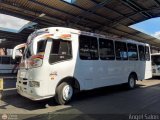 A.C. de Transporte N�mero Uno R.L. 028