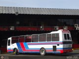 Expresos Pegamar 0013