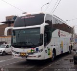 Expreso Internacional Palomino 7020, por Leonardo Saturno