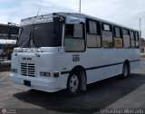 U.L.A.P. Machiques Maracaibo 35, por Sebastin Mercado