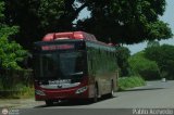 Bus Gurico 04, por Pablo Acevedo