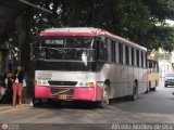 Yuruani 010-A, por Alfredo Montes de Oca
