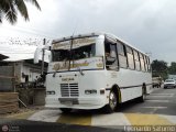 S.C. Lnea Transporte Expresos Del Chama 116, por Leonardo Saturno