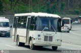 A.C. de Transporte N�mero Uno R.L. 025 por Pablo Acevedo