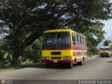 Colectivos El Viga 50, por Leonardo Saturno