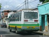SU - Cooperativa Cuman 29, por Luis Bentez