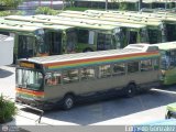 Metrobus Caracas 962, por Edgardo Gonzlez