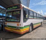 Colectivo San Rafael (El Mojn) 02, por Sebastin Mercado