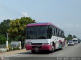 MI - Transporte Paran 300, por Leonardo Saturno