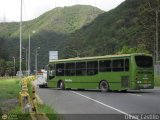 En Chiveras Abandonados Recuperacin oc069, por Oliver Castillo