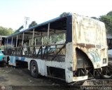 VA - Colectivos Carayaca C.A. 18 Ikarus 260 Man Raba D 2156 HM6U