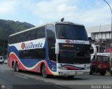 Expresos Occidente 118