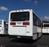 Transporte Virgen del Carmen 27