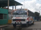 MI - Lnea La Tortuga 16