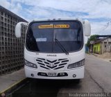 A.C. Transporte Paez 007