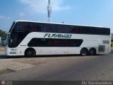 Expresos Flamingo 0085