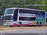 Unin Conductores Ayacucho 2008, por Andy Pardo