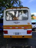 Unin de Conductores 87007 23, por Carlos Salcedo