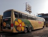 Transporte Flores Hermanos S.R.L (Per) 959, por Leonardo Saturno