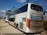 Unin Conductores Ayacucho 2077, por Aly Baranauskas