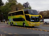 Buses Tepual