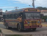 ZU - Colectivos Concepcin 020, por Sebastin Mercado