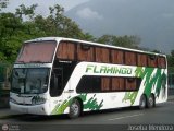 Expresos Flamingo 0118