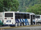 U.C. Serrano Pinto 35, por Darwin Sanchez