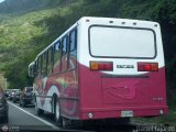 U.C. Caracas - Los Caracas 548, por Daniel Fajardo