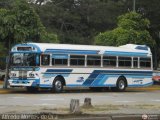 Transporte La Villa 16 Blue Bird Convencional Integral Integral Cummins 6BT TurboDiesel 210Hp
