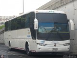 Transporte Los Siervos de Dios 1509, por Otto Ferrer