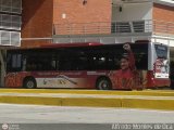 Trolmerida - Tromerca 89, por Alfredo Montes de Oca