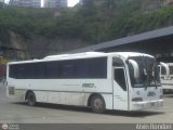 Servicios Especiales del Centro C.A. 28