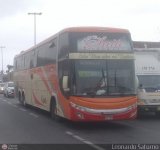 Turismo Caete 967