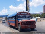 Transporte Palo Negro La Morita 2 017