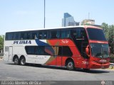 Pluma Conforto e Turismo 7000, por Alfredo Montes de Oca