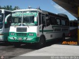 Expresos Bolivarianos 51, por Alfredo Montes de Oca
