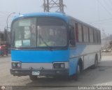 Sin identificacin o Desconocido 779