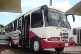A.C. Transporte Paez 010, por Yenderson Fernandez C.