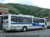 Transporte Vidosa 21, por Royner Tovar
