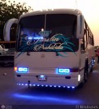 Particular Servibus, por El Niobuses