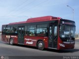FA - Transfalcn