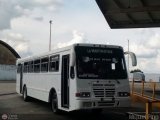 Empresa de Transporte El Buen Vecino 06 por M�guel Pino