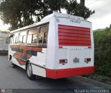 A.C. de Transporte Los Rapiditos de Montalb�n 13