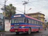 Particular 0508, por Leonardo Saturno