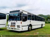 Particular JS-993