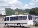 Transporte Virgen del Carmen 35